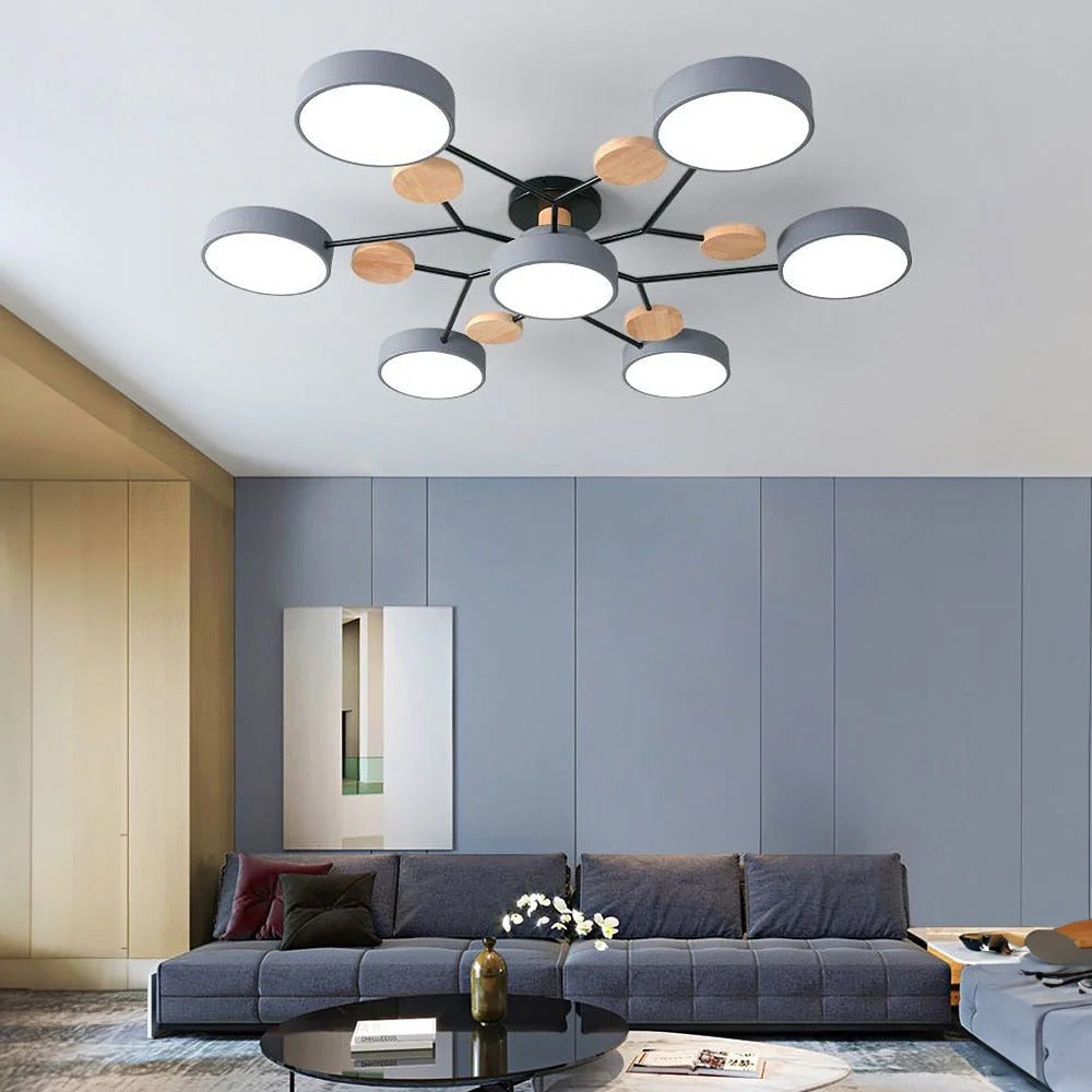 Flush Mount Ceiling Light Modern LED Room Illumination