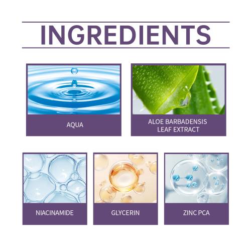 Niacinamide & Aloe Pore-Refining Serum