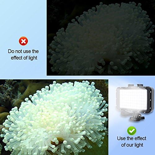 Suptig Underwater LED Dive Light - 84 High-Power Dimmable LEDs, Waterproof 164ft for GoPro & Cameras