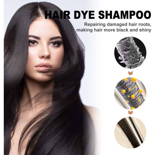 Black He Shou Wu Colour Shampoo