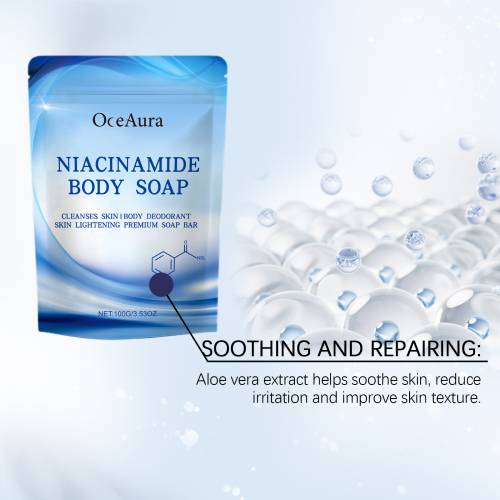 Niacinamide & Aloe Body Soap, Brightening