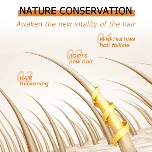 Rosemary Arginine Scalp Ampoule