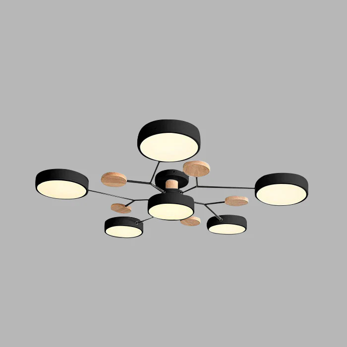 Flush Mount Ceiling Light Modern LED Room Illumination