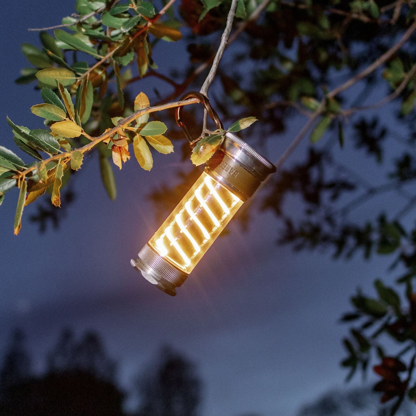 Avichic™ Edison Light Stick – Multi-Purpose Lantern & Flashlight with USB-C Charging and 7 Lighting Modes