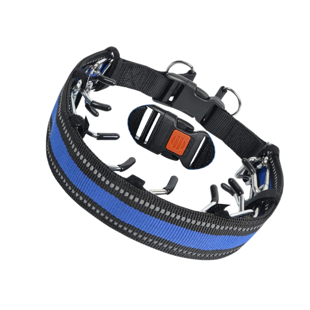 Dog Training Collar with Adjustable Fit for Daily Walks