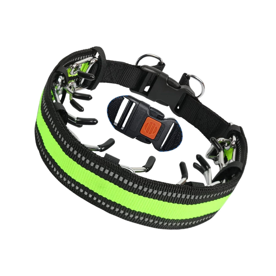 Dog Training Collar with Adjustable Fit for Daily Walks