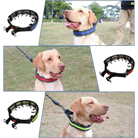 Dog Training Collar with Adjustable Fit for Daily Walks