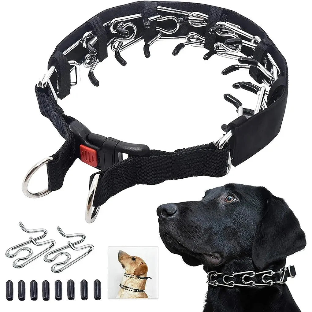 Dog Training Collar with Adjustable Fit for Daily Walks