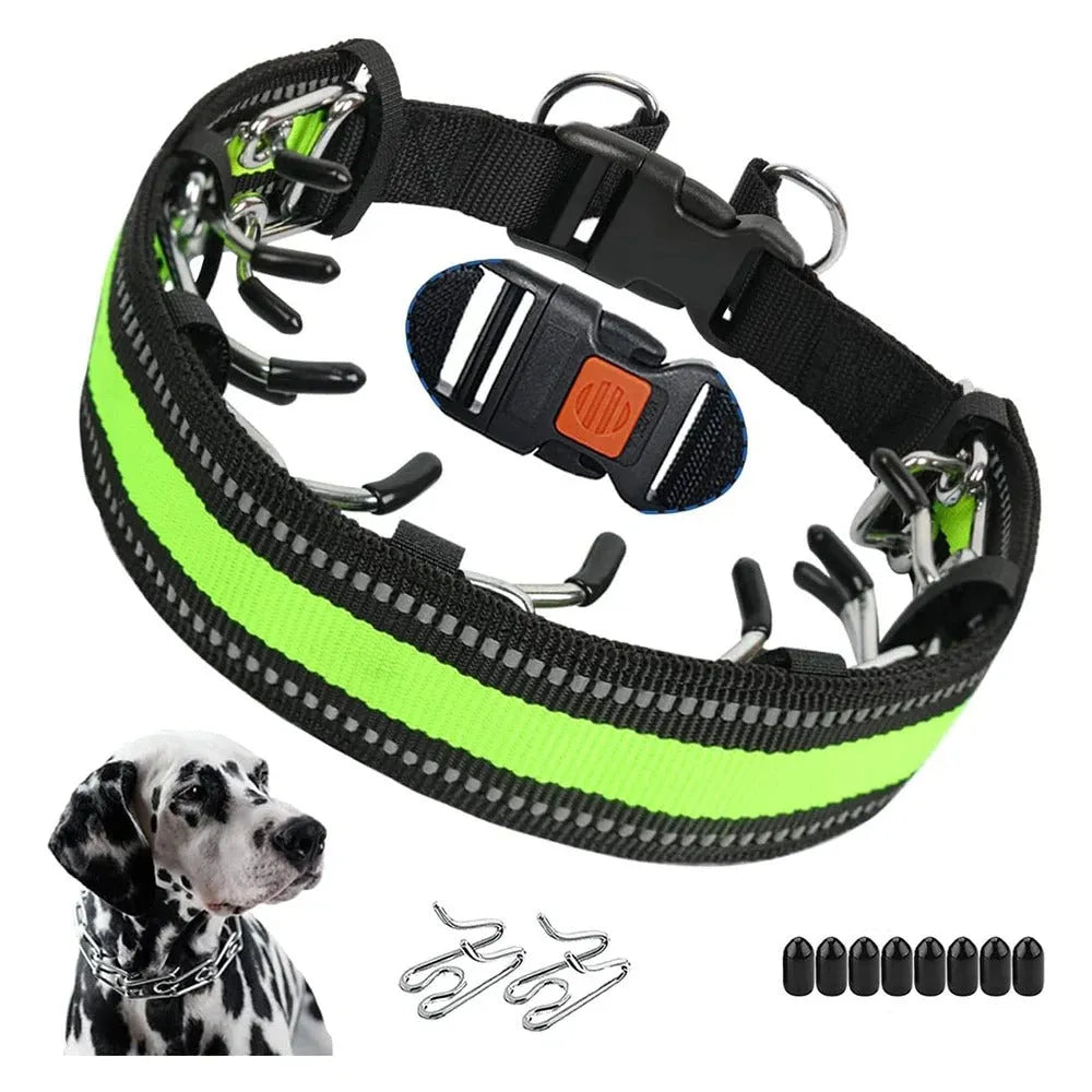 Dog Training Collar with Adjustable Fit for Daily Walks
