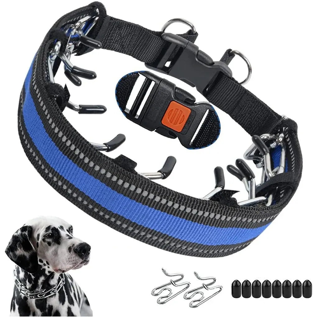 Dog Training Collar with Adjustable Fit for Daily Walks