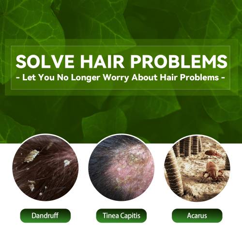 Herbal Scalp Shampoo with Mugwort & Honeysuckle