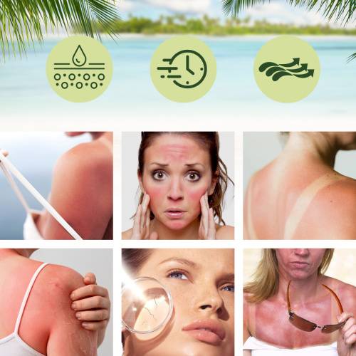 Aloe Vera & Honey Hydrating Day Cream