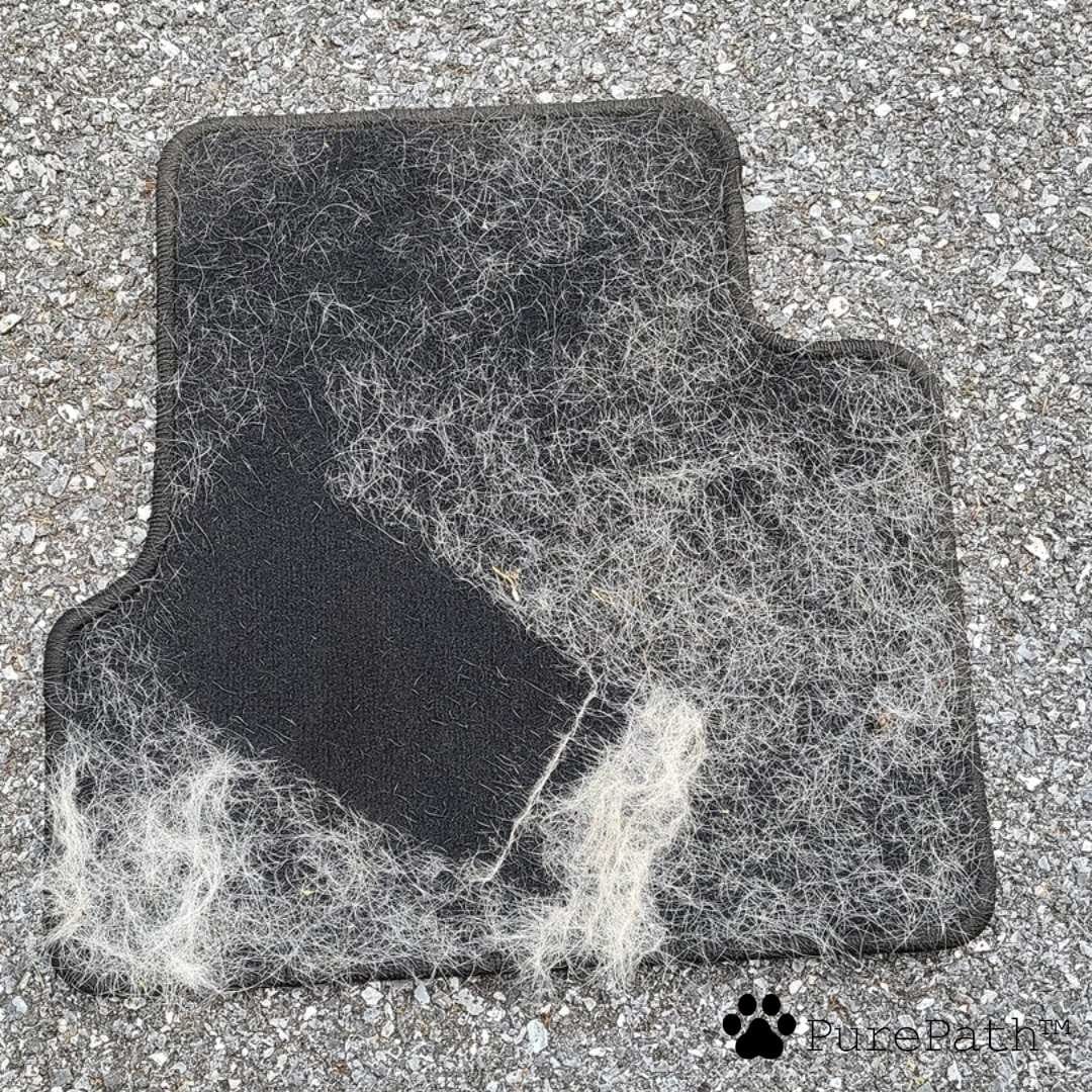 Large Scraper - Lilyand™
