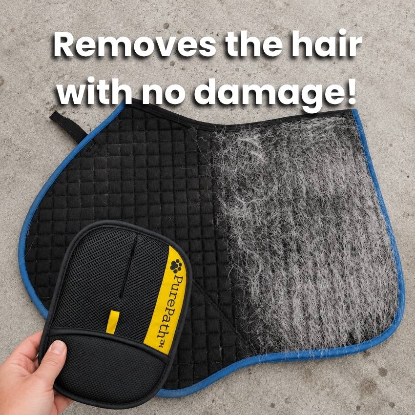 Lilyand™ Horse Hair Glove