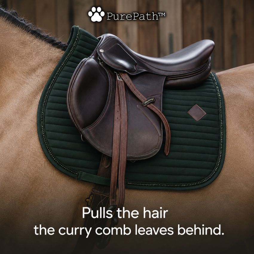Lilyand™ Horse Hair Glove